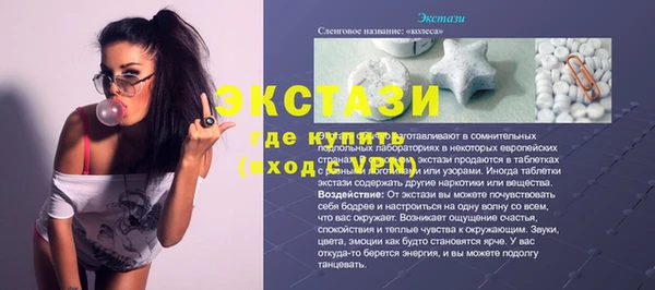 гашик Пересвет