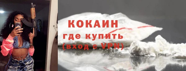 гашик Пересвет