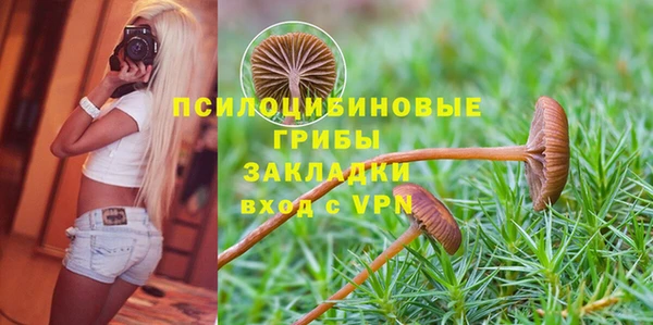 альфа пвп Пестово
