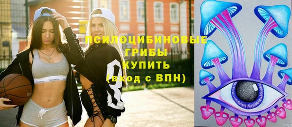 гашик Пересвет