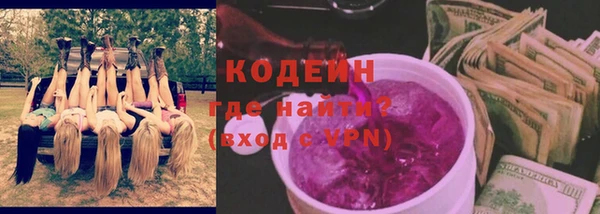 гашик Пересвет