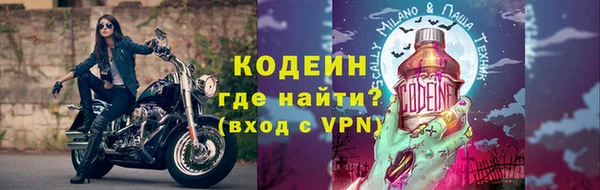 гашик Пересвет