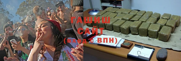 гашик Пересвет