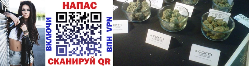 даркнет сайт  Западная Двина  OMG зеркало  Бошки Шишки SATIVA & INDICA 